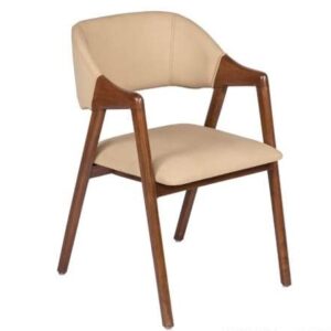 Sky Homes Arm Chair for Living Room, Outdoor, Balcony