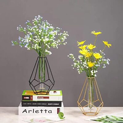 Aashralya™ Hexgon Shaped Metal Wire Glass Tube Vase for Home Decor (Pack of 1) (Black)