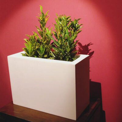 Auriga White FRP Planter