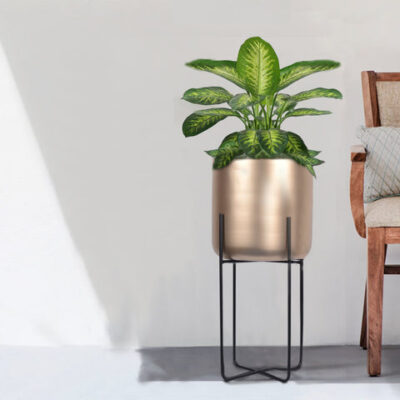 Minimalist Aurelia Indoor Planter